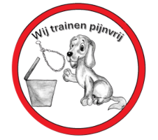 Pijnvrij